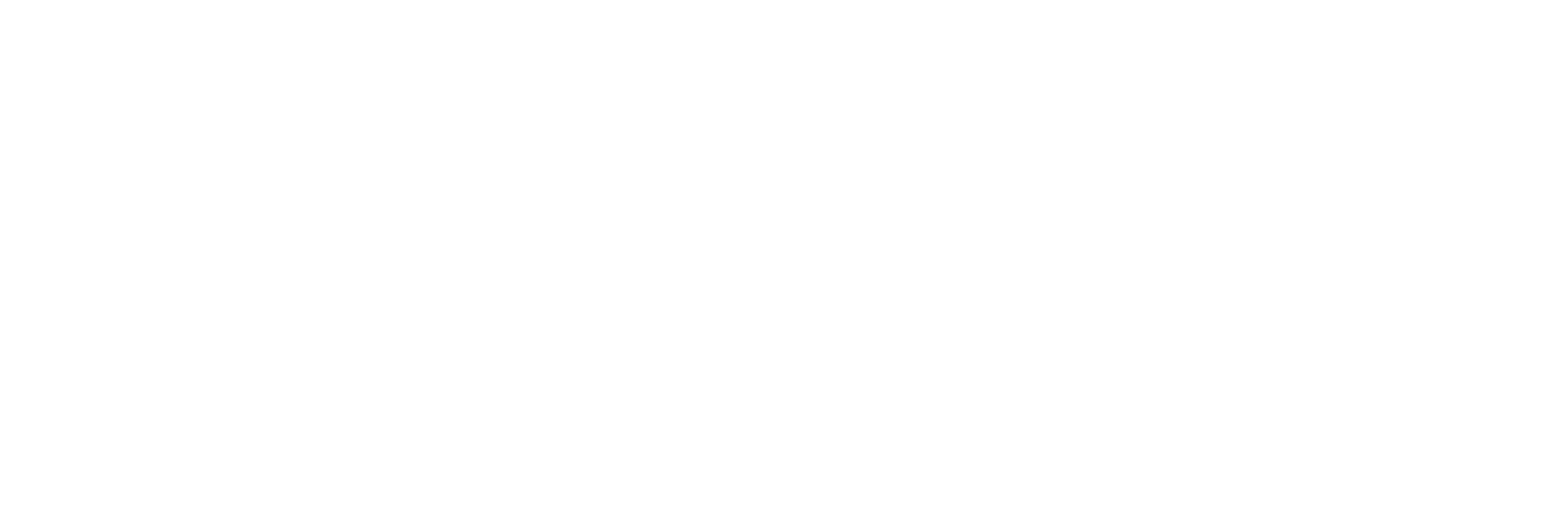 DigiPilPass Logo
